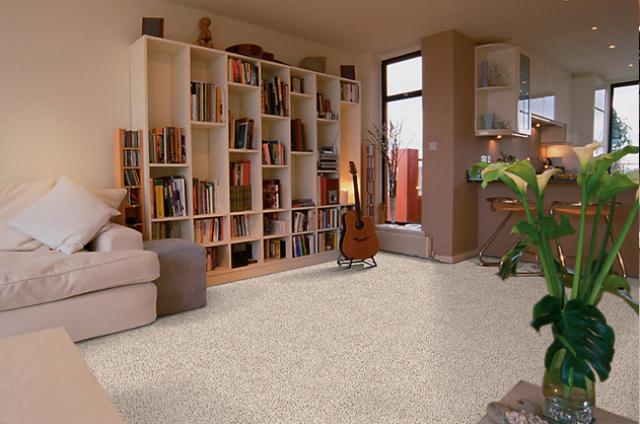 Mohawk Carpeting: Earthly Charm