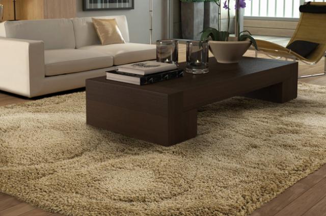 Area Rug Style 7